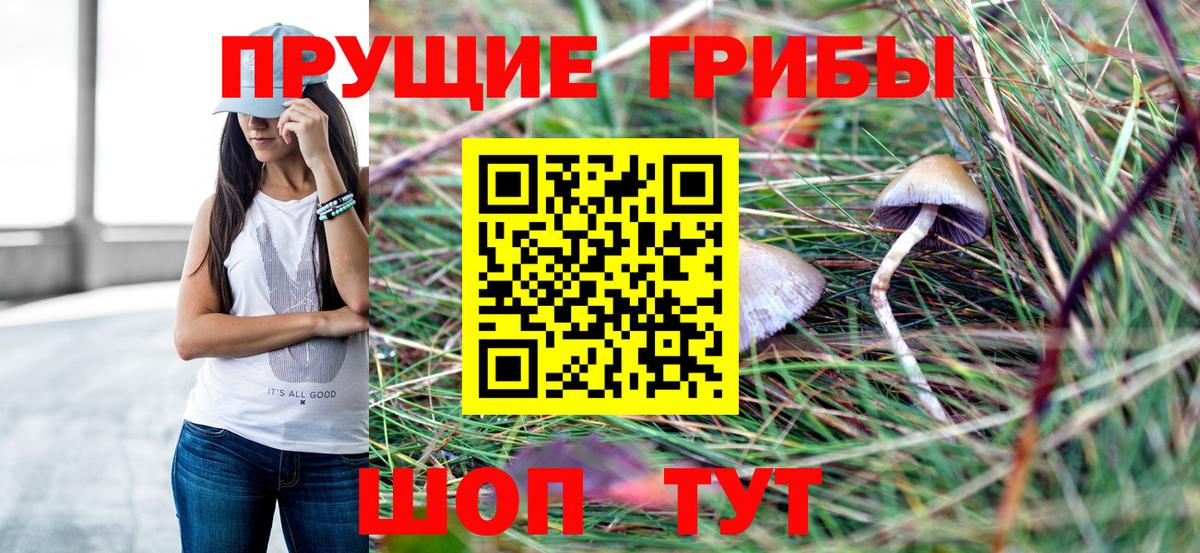 Псилоцибиновые грибы ЛСД Туймазы